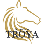 TROYA GAYRİMENKUL