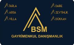 BSM GYO