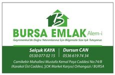 BURSA EMLAK ALEMİ