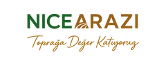 NİCEARAZİ