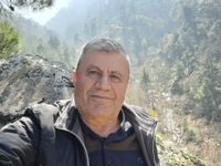 Dostlar Emlak Danışmanlığı