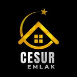 Cesur Emlak