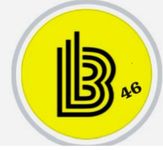 BOYUT EMLAK 46 Logo