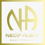 Necip Albay Gayrimenkul Logo