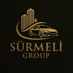 SÜRMELİ GROUP & EMLAK DANIŞMANLIĞI Logo