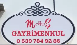 M&Ş GAYRİMENKUL
