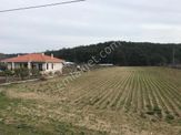 Menderes Çile Mahallesin'de Satılık Tarla Meşe Emlak'tan