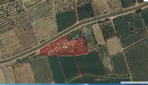 Aydın/kuyucak/gencellide Satılık Portakal Bahçesi