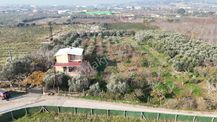 Kemalpaşa Armutlu Satılık 1.787 M2 Bahçe