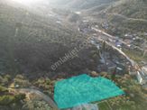 Kumla Konak Emlak;tan Satılık Zeytinlik