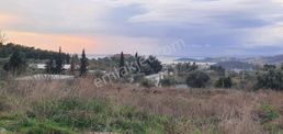 Kuşadası'n Da Tek Villalık Satılık 913 M2 Arsa