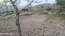 İzmir Bergama Durmuşlar Mh 397 M2 Köy İçi Bahçemiz Satılıktır