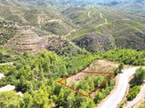 Alanya'da Satılık Yola Sıfır Acil Fırsat Tarla 1100 Metrekare