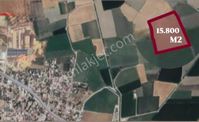 İlhan Rodoplu'dan Pamukyazı Da 15.800 M2 Kupon Tarla Elektrik Su İçinde