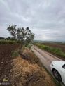 Detay Emlaktan Akçapınar Mh. Köy İçi 9136 M2 Satılık Tarla