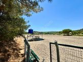 Manisa Ortaköy De 2.500 M2 Tarla , Telle Çevrili , Tek Tapu