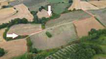 Kocaeli Karamürsel Yalakdere Satılık Tarla 31645 M2