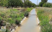 Koz Gayrimenkul'den Tecirli'de Mükemmel Konumda Bakımlı Bahçe