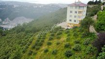 Trabzon Ortahisar'da Satılık Arazi