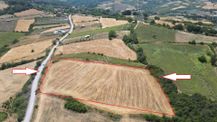 Yalova Altınova Fevziye 14.672 M2 Satılık Tarla
