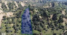 Aydın Sultanhisar Atça Mahallesinde Satılık 2377 M² Zeytinlik
