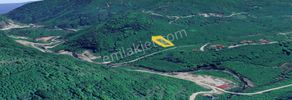Perşembe Saray Mah. 1.876 M2 Fındık Bahçesi