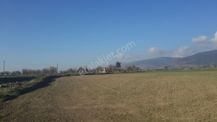 Burdur Bucak Ürkütlü De Satılık 1240 M2 Tarla