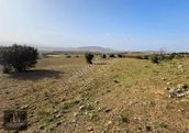 [ema] Aşağı Demirtaş Da Satılık 2285m2 İmara Yakın Fırsat Tarla