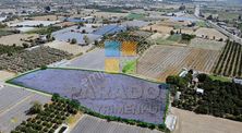 Aydın Sultanhisar Atça Mahallesinde Satılık 13230 M² Tarla