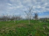 Mudanya Çayönü Teknosab Osb Yakın Satılık Tarla