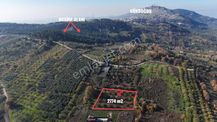 Gündoğdu Dürdane Mevkii 2.774 M2 Müstakil Parsel Satılık Tarla