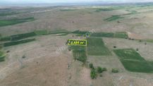 Konya / Akören / Orhaniye Mahallesinde 2.405 M² Müstakil Tapulu Tarla