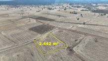 Konya / Akören / Tülce Mahallesinde 2.442 M² Müstakil Tapulu Tarla