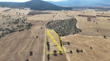 Konya / Akören / Alan Mahallesinde 5.615 M² Hisse Tapulu Tarla