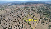 Konya / Akören / Alan Mahallesinde 7.491 M² Müstakil Tapulu Tarla