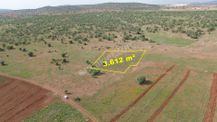 Konya / Akören / Hacılar Mahallesinde 3.612 M² Müstakil Tapulu Tarla
