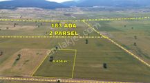 Konya Akörende 6.438 M² Verimli Konumu Güzel Tarla