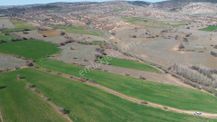 Konya / Ilgın / Belekler Mahallesinde 2.615 M² Müstakil Tapulu Tarla