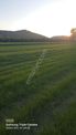 Ortaca Fevziye 7100 M2 Tarla