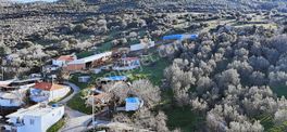 Bergama Sindel'de Satılık Çiftlik