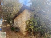 Kalınkoz' Da İçinde Taş Ev Olan Mahalle İçi Yatırım Fırsatı Arsa