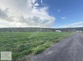 Hatunoğlu'ndan Satılık Eski Foça Yolu'na 200 M 5244 M2 Tarla