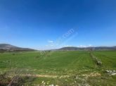 Muğla Menteşe Kafaca Mah. Satılık 2.090 M2 Tarla