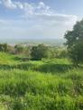 Ergani'de Makam Dağı Yol Üzeri Manzaralı İmara Çok Yakın 1000 M2 Satılık