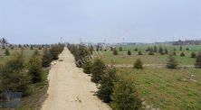 Tekirdağ Saray Bahçedere Mahallesi Satılık 549 M2
