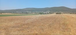 Bodrum Çamarası 5032 M2 Yola Cepheli Tarla