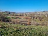 Akgün Kurumsal'dan Kavak'da Satılık 3479 M2 İki Parsel Tarla