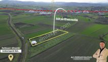 C21 Bal'dan Aslıhantepeciği Mahallesinde Satılık Tarla