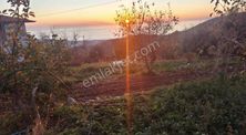 Gözüküçüklüde 1164m2 Satılık Full Deniz Manzaralı Tarla