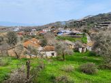 Aydın Dalama Mahallesin'de Satılık 1620 M2 Bahçe Evi